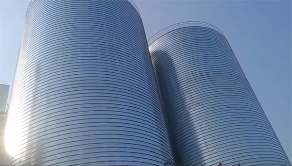 绥棱2座混凝土高架卷板仓